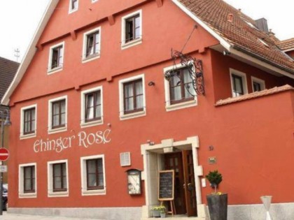 照片: Ehinger Rose